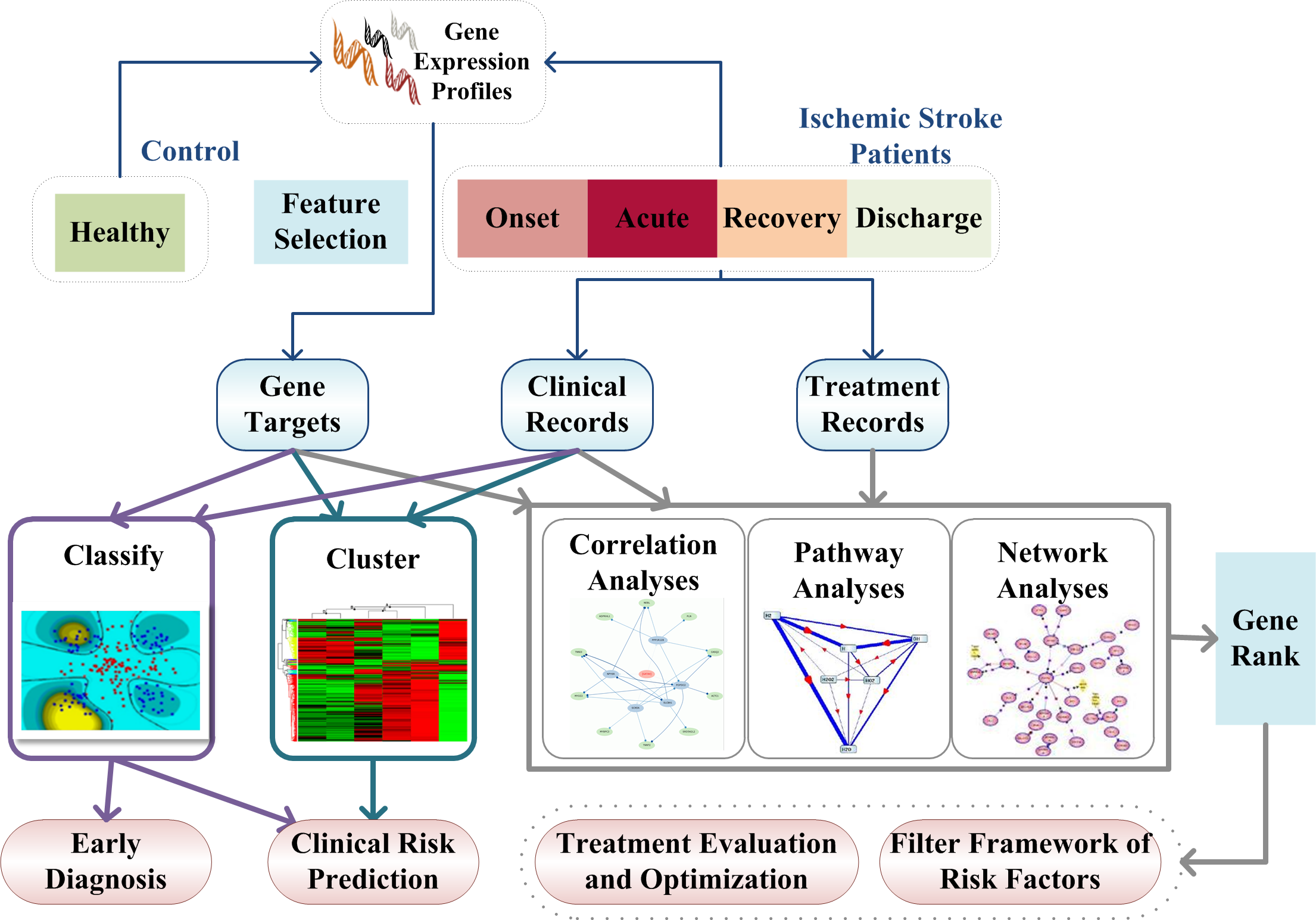 Stroke Analyses based on Transcriptomics and microRNomics