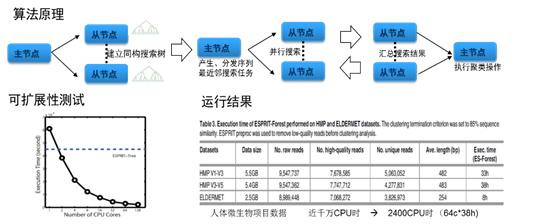 深度扩增测序数据的快速并行级联聚类算法