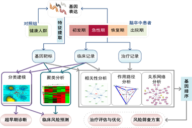 脑卒中的RNA组学