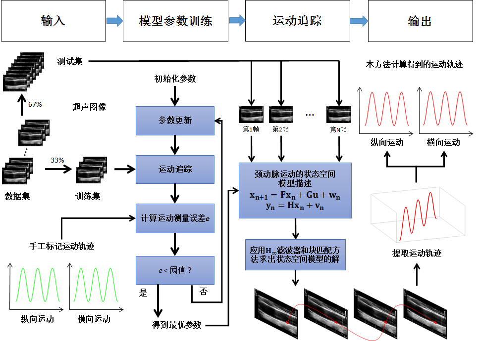 血管壁移动仿真及临床意义分析