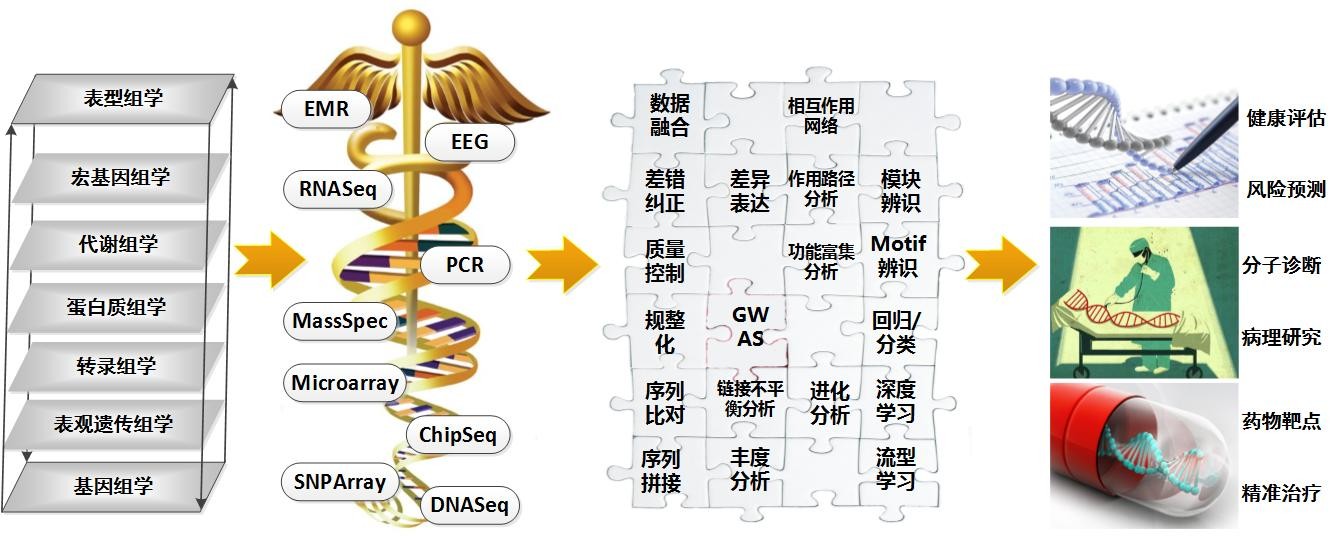 临床生物信息学与生物大数据